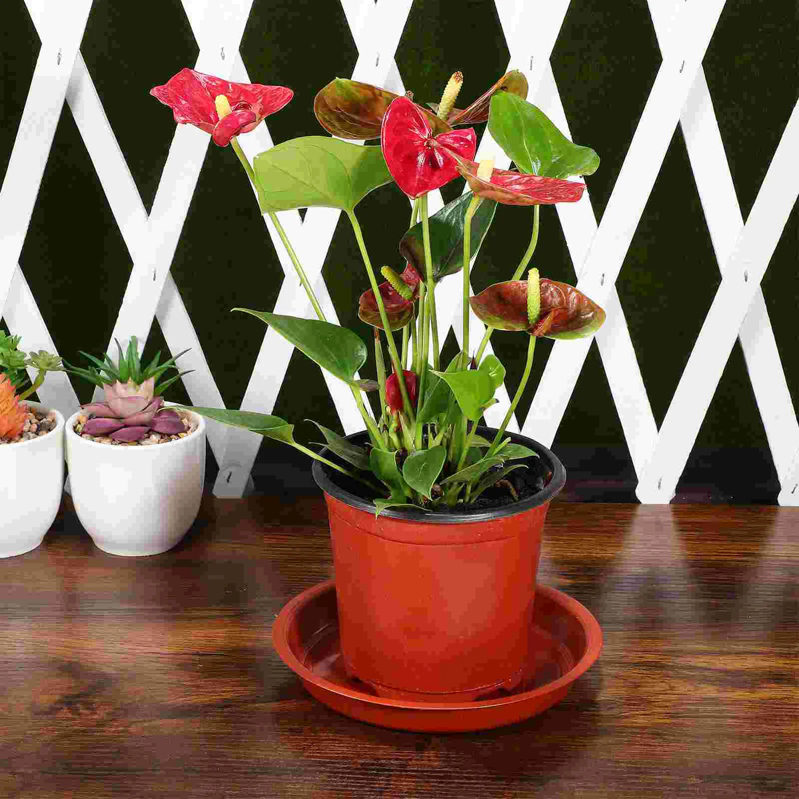 5 Pcs Plastic Flower Tray Bottom Pan Plant Bowl Container Large Planter Saucers Bonsai Office