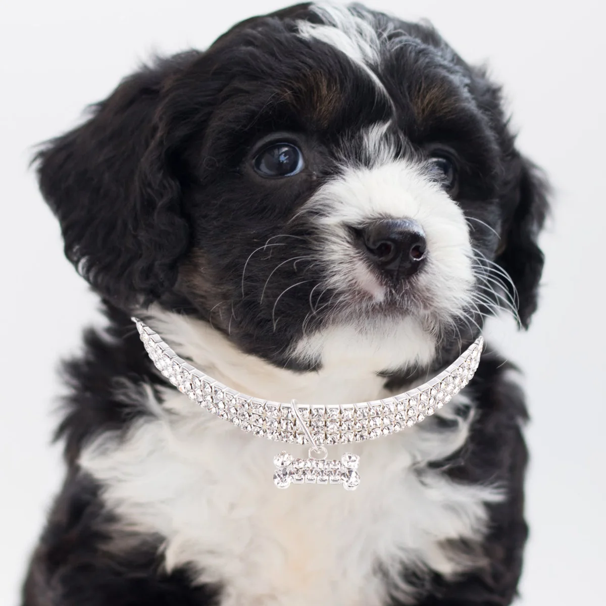 

Luxury Adjustable Shining Rhinestone Dog Collar Bone Shape Pendant Supplies For Pet Dog Crystal Necklace Chain Outdoor Walking
