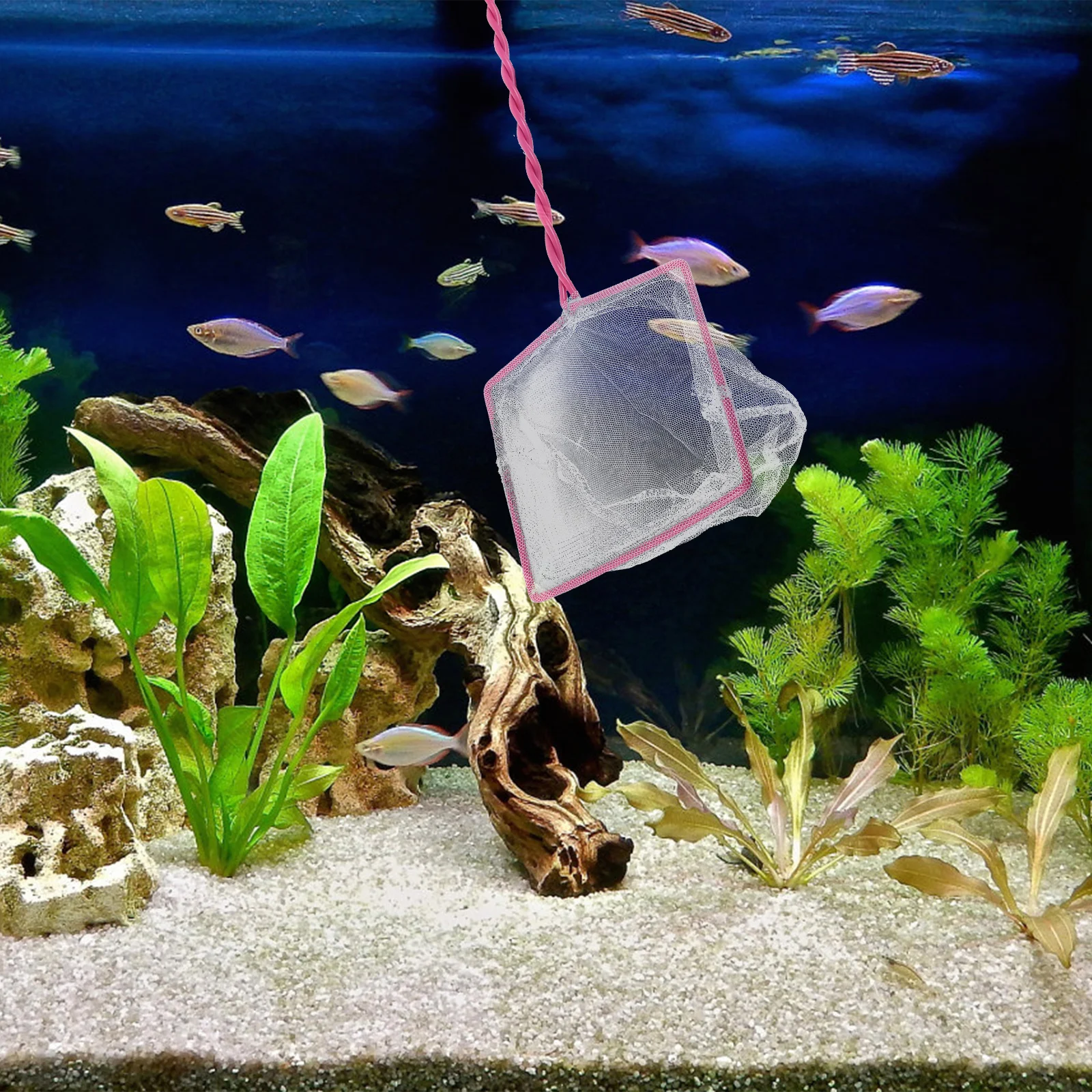 

5Pcs Aquarium Fish Net Fine Mesh Handheld Fishing Net for Tank Cleaning and Pool Debris Removal Fish Tank Tool