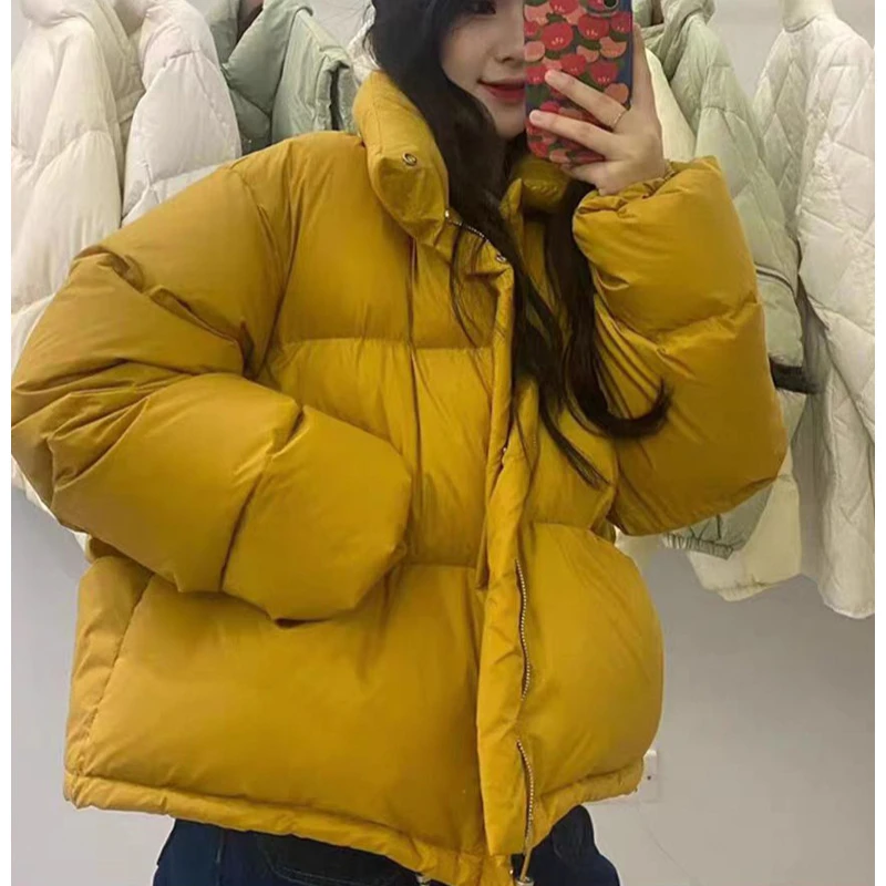 Winter Warm Short Parkas Women Fashion Stand Collar Short Down Jacket White Duck Down Thickened Puffer Jacket Casual Loose Coat