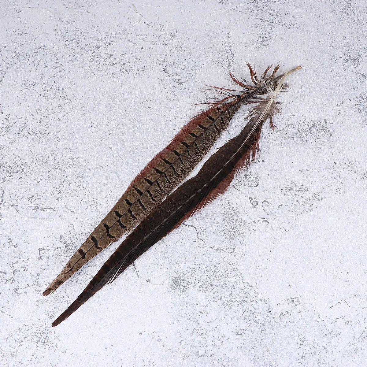 

12Pcs Natural Pheasant Tail Decorative for Wedding Party Costume DIY Crafts Performance Hair Accessories