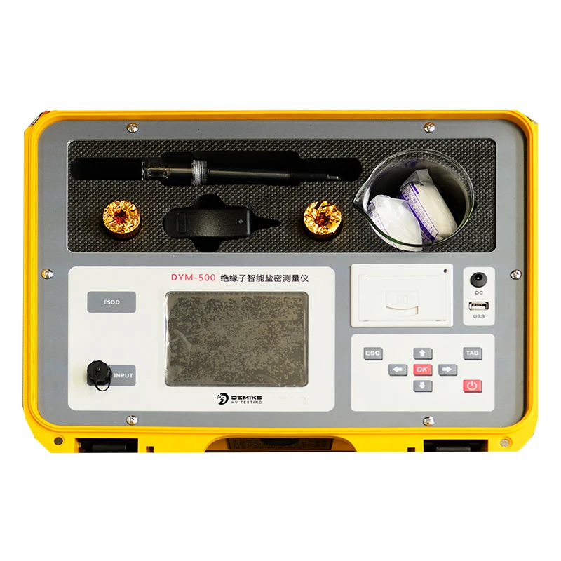 Intelligent Salt Density Measuring Instrument Insulator Testing Equipment with 1 Year Warranty