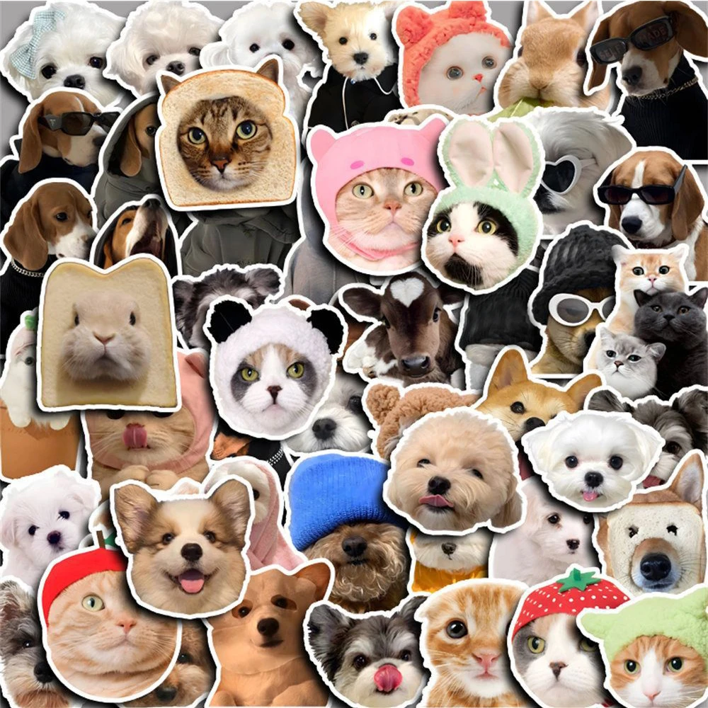 10/30/50pcs Funny Cat Dogs Meme Stickers Kawaii Kids Decals Toys Graffiti Luggage Laptop Phone Stationery Cute Cartoon Sticker