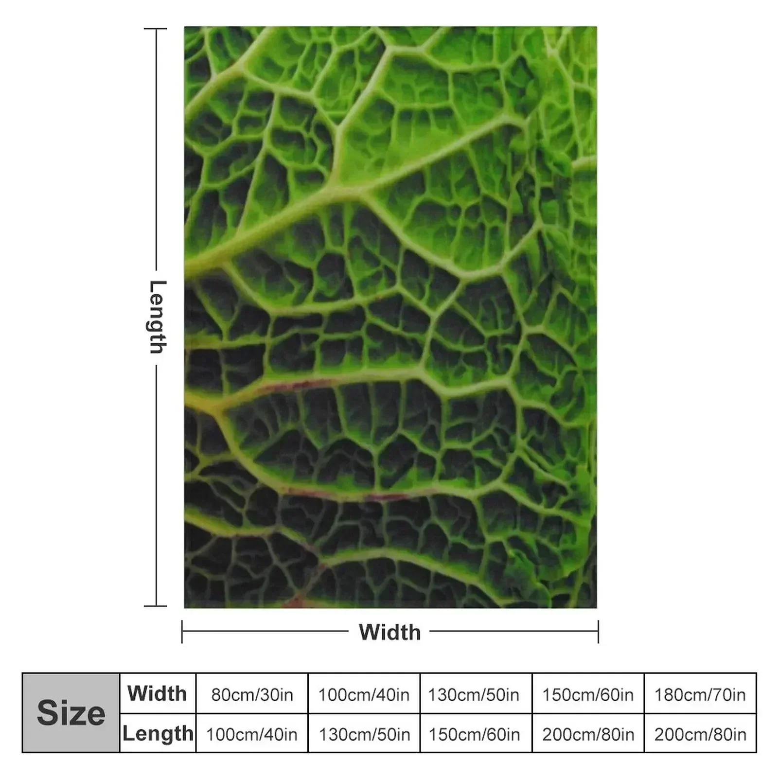 CABBAGE Throw Blanket Retros Extra Large Throw Multi-Purpose Shaggy Tourist Luxury Blankets