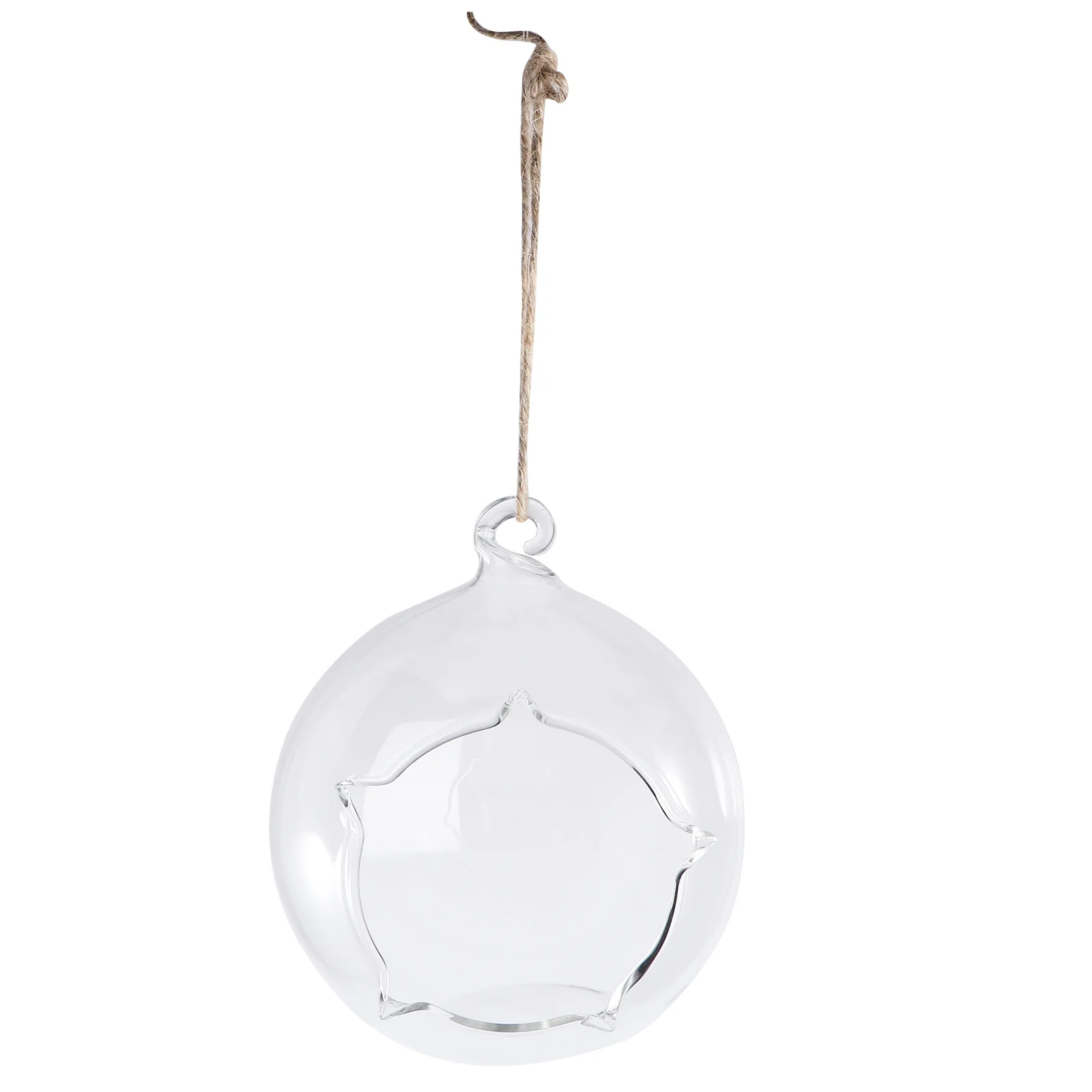 

1Pcs Multi-Function Hanging Micro Landscape Bottle Premium Glass Succulent Vase for Home Decor Transparent 10Cm