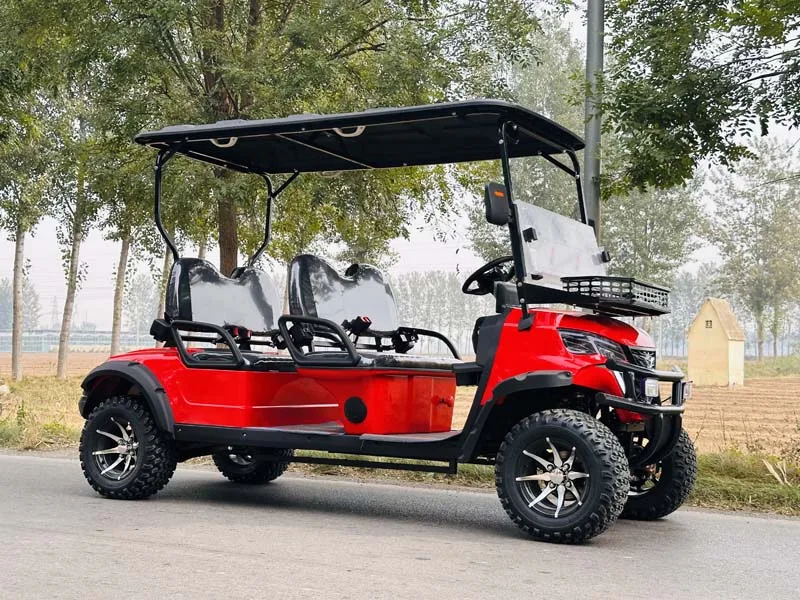 مستقرة ودائمة 4 + 2 مقاعد 4 عجلات على الطرق الوعرة بطارية ليثيوم الصيد الكهربائية عربات التي تجرها الدواب عربات الغولف #5