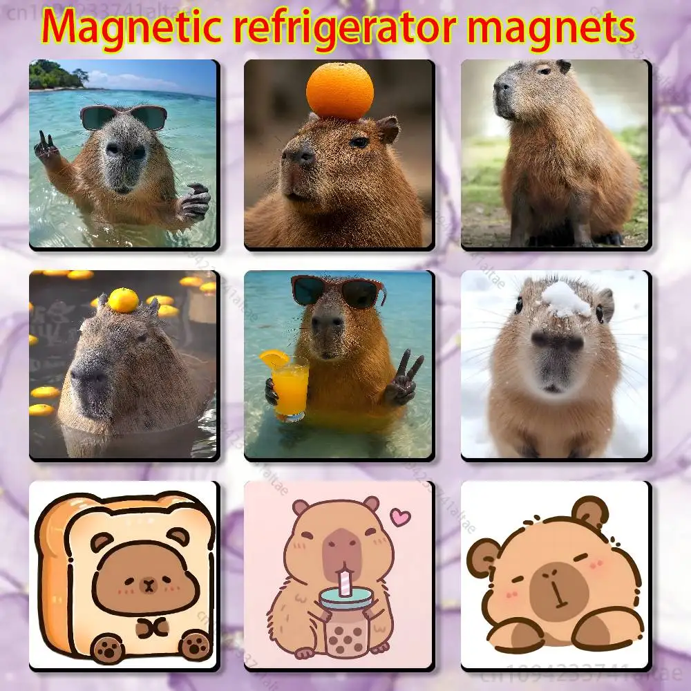

Lindos capibaras Fridge Magnet Personalized Magnetic Durable Plastic Square Picture Surface Fridge Magnets