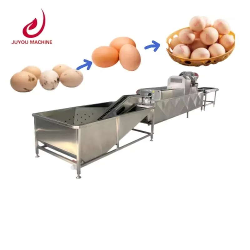 Commercial Egg Shell Brush Machine Egg Mud Washer Egg Washer Cleaner Machine For Sale