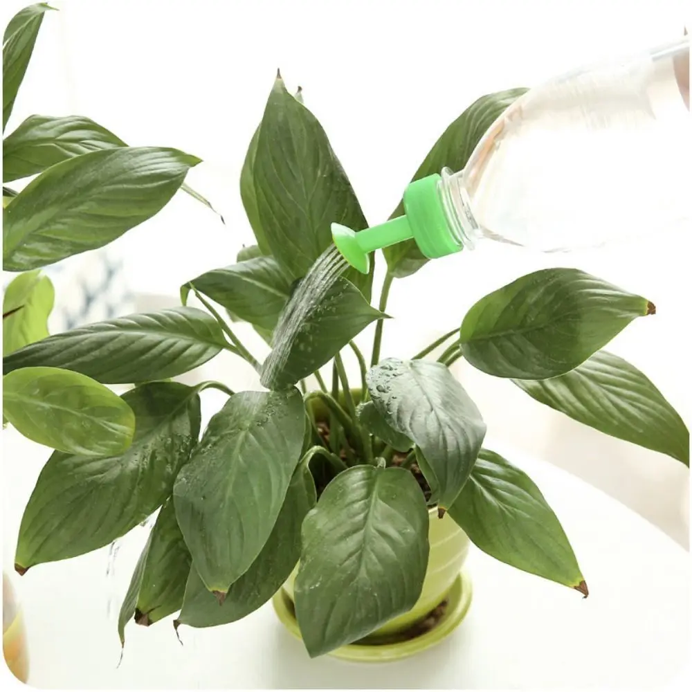 

Easy to install Plastic Watering Nozzl Small Bottle Cap Design Watering Can Head Lightweight Flower Watering Nozzle Garden