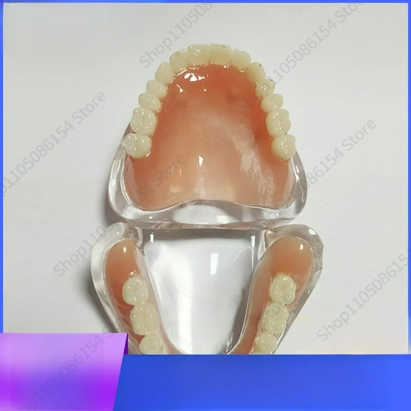 modele-de-prothese-dentaire-complete-modele-de-dentition-a-adsorption-modele-pedagogique-dentaire-modele-de-communication-medecin-patient