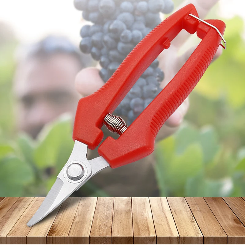 Elbow Stainless Steel Blade Pruning Shears Household Bonsai Plants Trees Branches and Leaves Garden Scissors Tools for Flowers