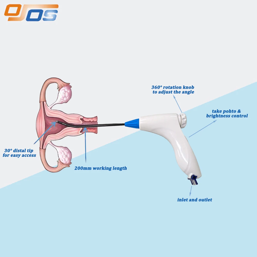 Portable Video Veterinary Endoscope Bronchoscope Flexible Professional Pet Diagnosis Video EndoscopyVeterinary Medical