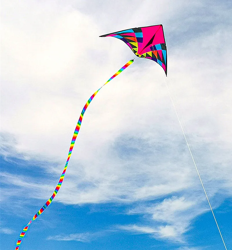 Nouveau grand cerf-volant delta pour enfants cerf-volant adulte carretilha pipa cometas profesionales gigantes drachen flieger cerf-volant professionnel