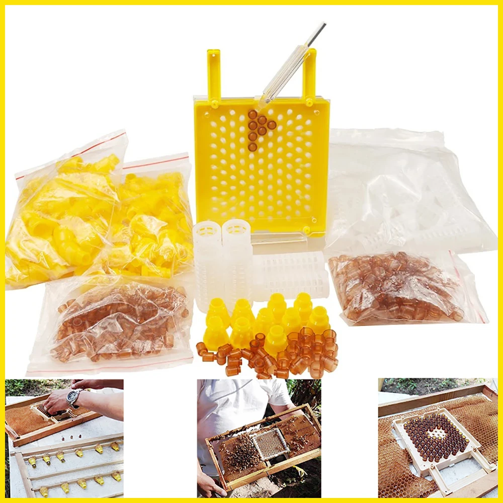 

1Set Jenter Apiculture Kit Transfer Box Breeding High Accepted Virgin Plastic Incubator Box Worms Egg Larva Transferred