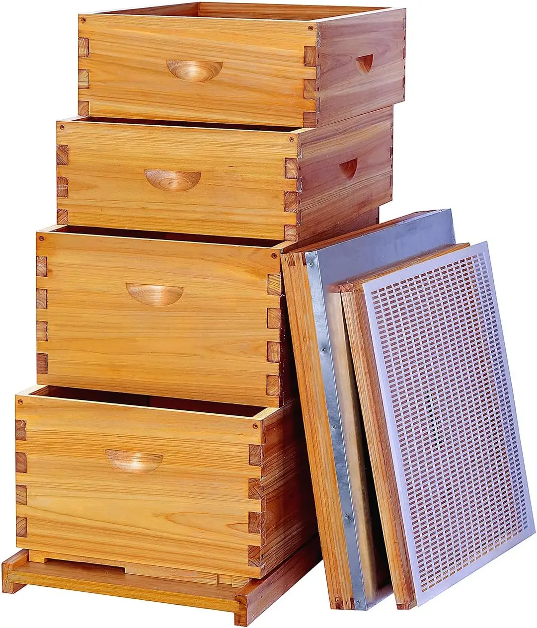 10 Frame Bee Hive Beehive Kit Includes 2 Deep Brood Bee Boxes 2 Medium Beehive Boxes Assembly Screws No Frames No Foundations