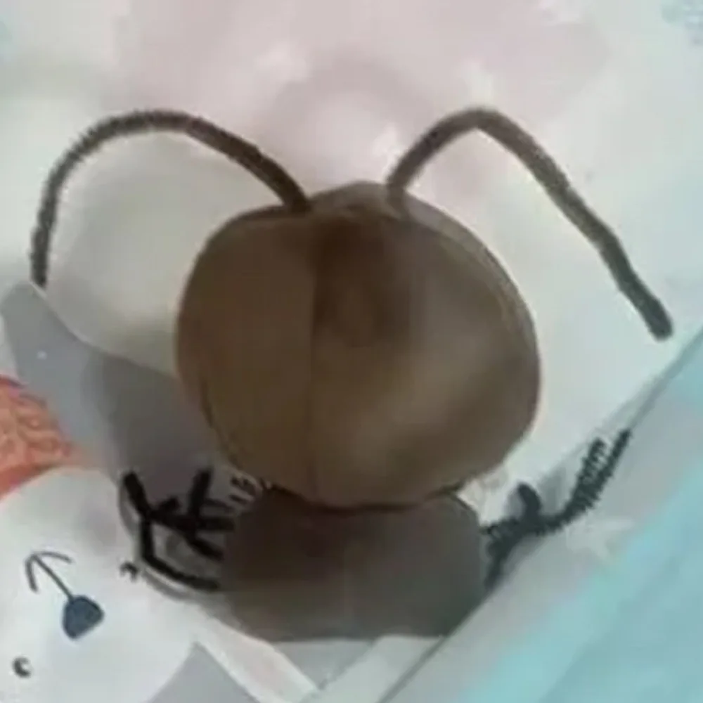 

Таракан 10 см, хлопковая кукла, одежда, прекрасная креативная кукольная одежда, костюм, забавный комплект одежды для куклы, хлопковая кукла 10 см