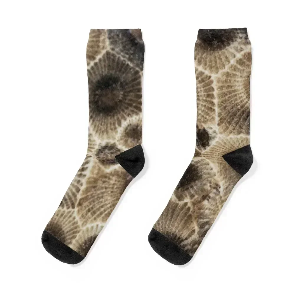 

Petoskey Stone Socks designer fashionable golf Socks Men Women's