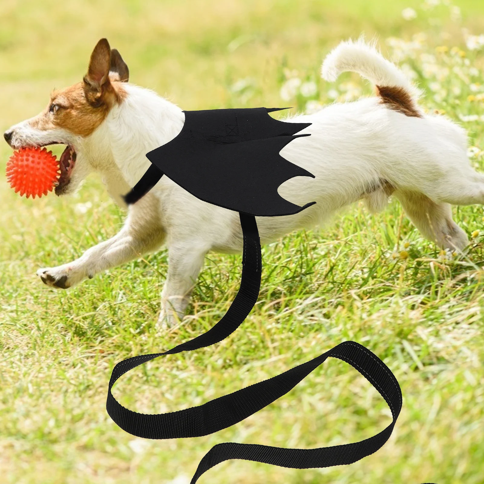 

Pet Leash Cat Dog Harness Chest Strap Collar Rope Vest Chest Back Pet Supplies For Halloween Christmas Party Decor Small