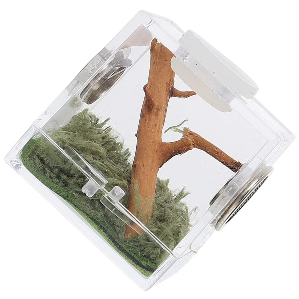 

Jumping Spider Breeding Box Insect Pet Case Reptile Container Terrarium Acrylic Feeding Habitat Cage Sturdy Durable Ventilation