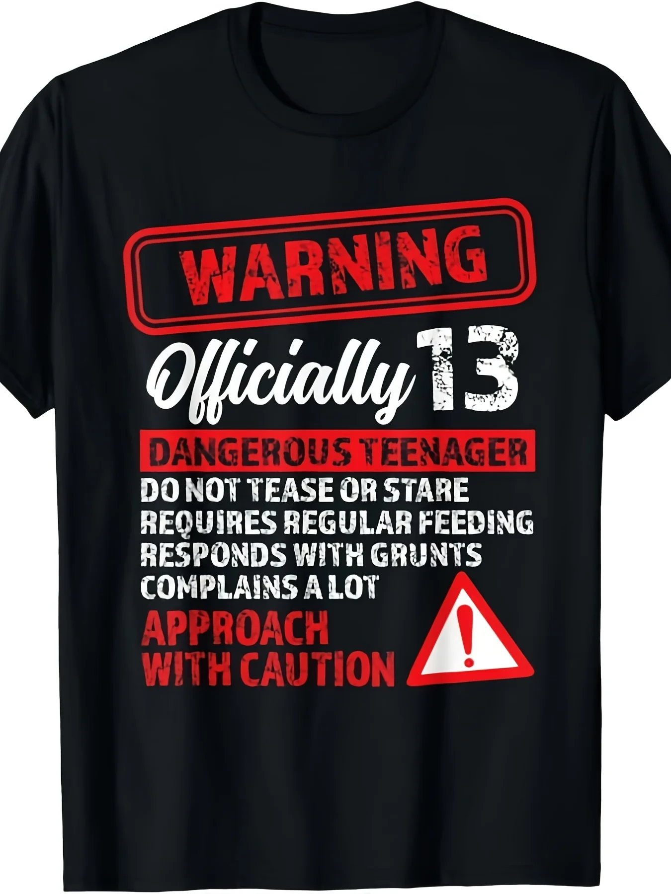 Official Teenager 13th Birthday Gifts 13 Yr Old Boys  Girls T-Shirt Same Style for Men and Women 2025 Summer Short-sleeved Printed T-shirt Pure  T Shirts with Funny Sayings for Men