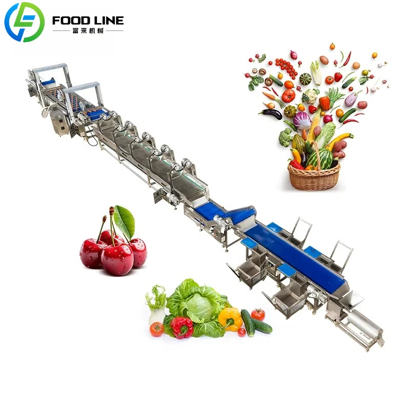 CustomizedFood Grade Fruit Vegetable Processing Line Stainless Steel Material Meet International Food Safety Standard