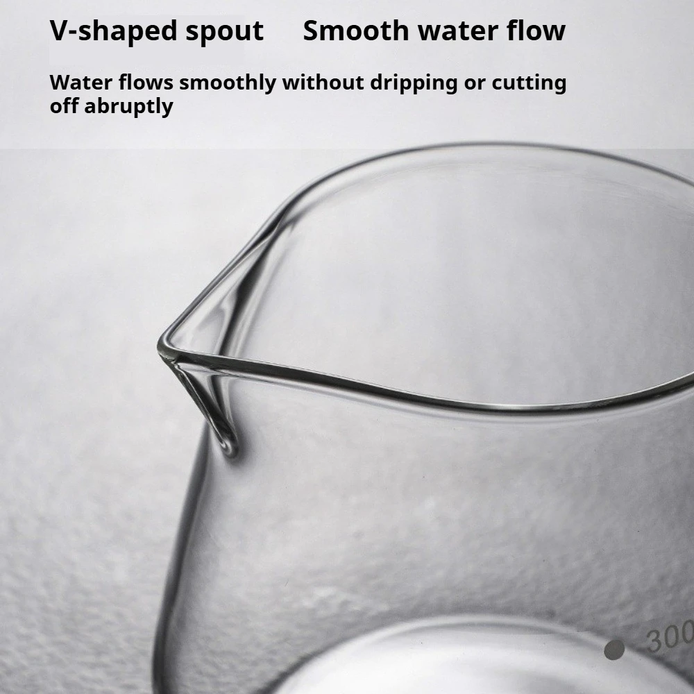 Glass Coffee Pot with Dot Scal - Pour Over Kettle 评论和价格