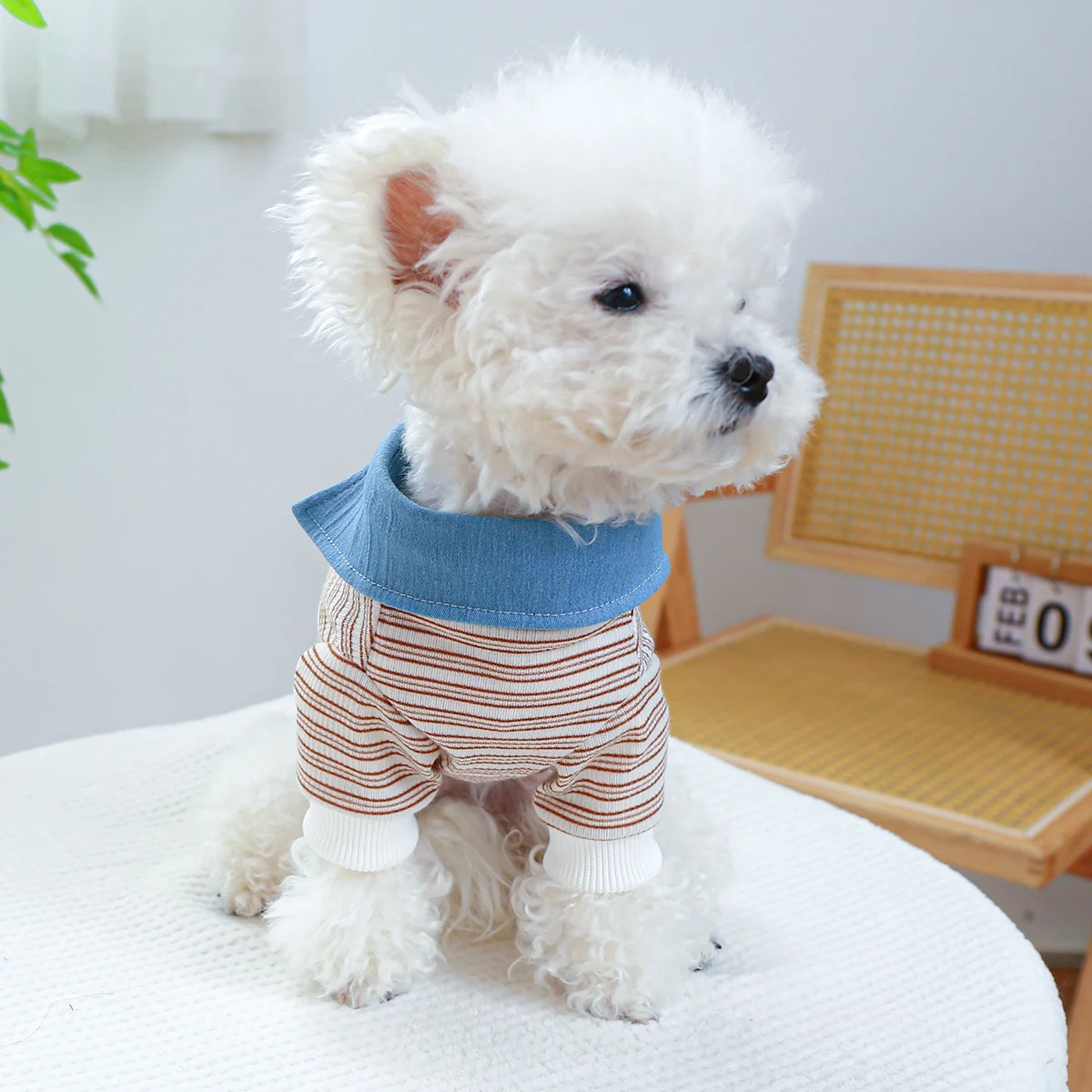 1PC Pet Clothing Cat Spring and Autumn Thin Fake Two Piece Shirt Pullover Crew Neck With Drawstring Buckle For Small Medium Dogs