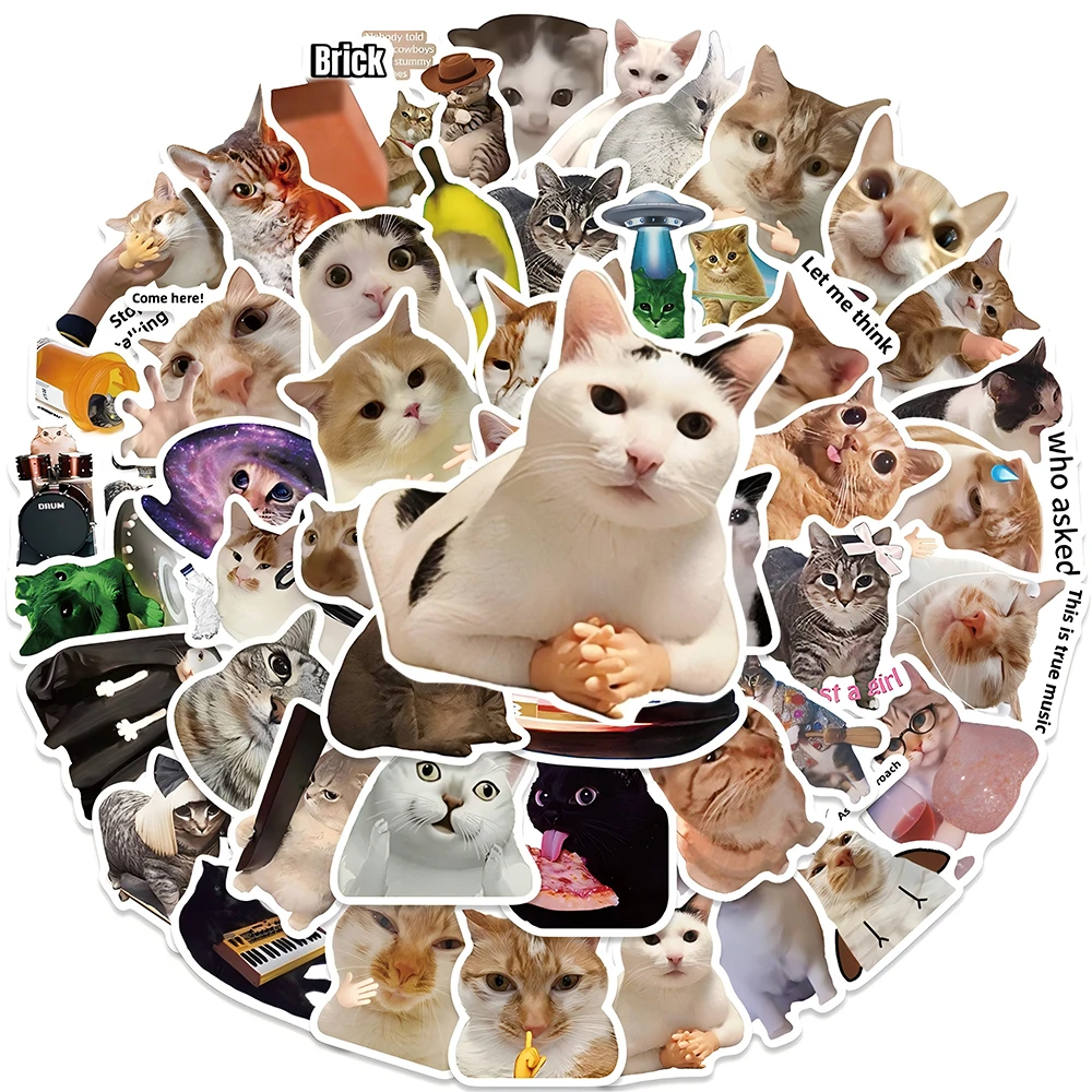 10/30/50 Stück Lustige Tier-Katzen-MEME-Aufkleber Wasserfeste Graffiti-Sticker für Schreibwaren, Tagebuch, Laptop, Kawaii-Dekoration, Spielzeug, Geschenke