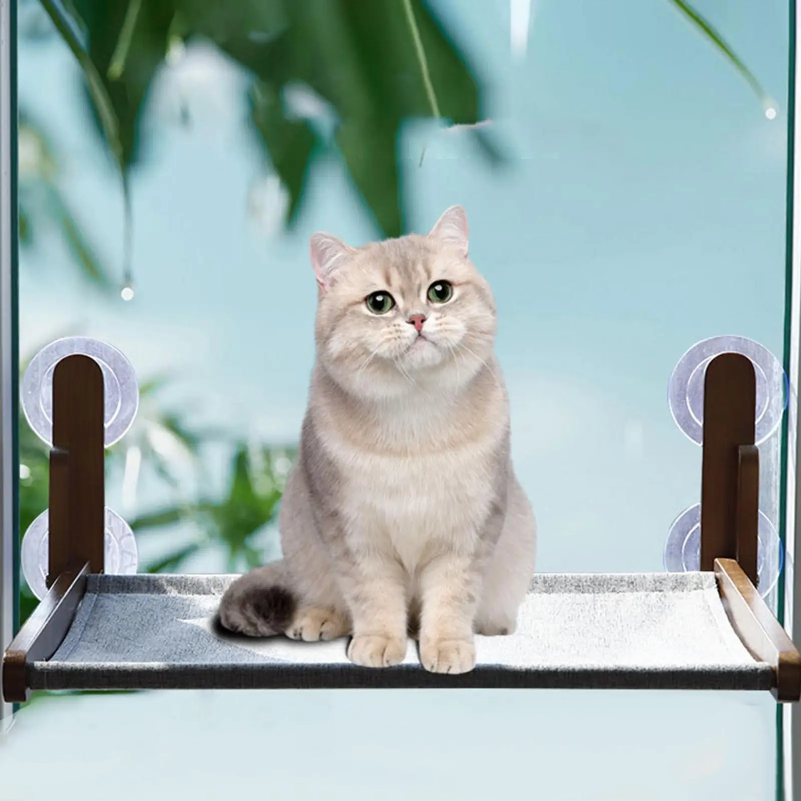 

Cat Window Hammock Space Saving Sunny Seat Cat Window Perch for Sun Bathing