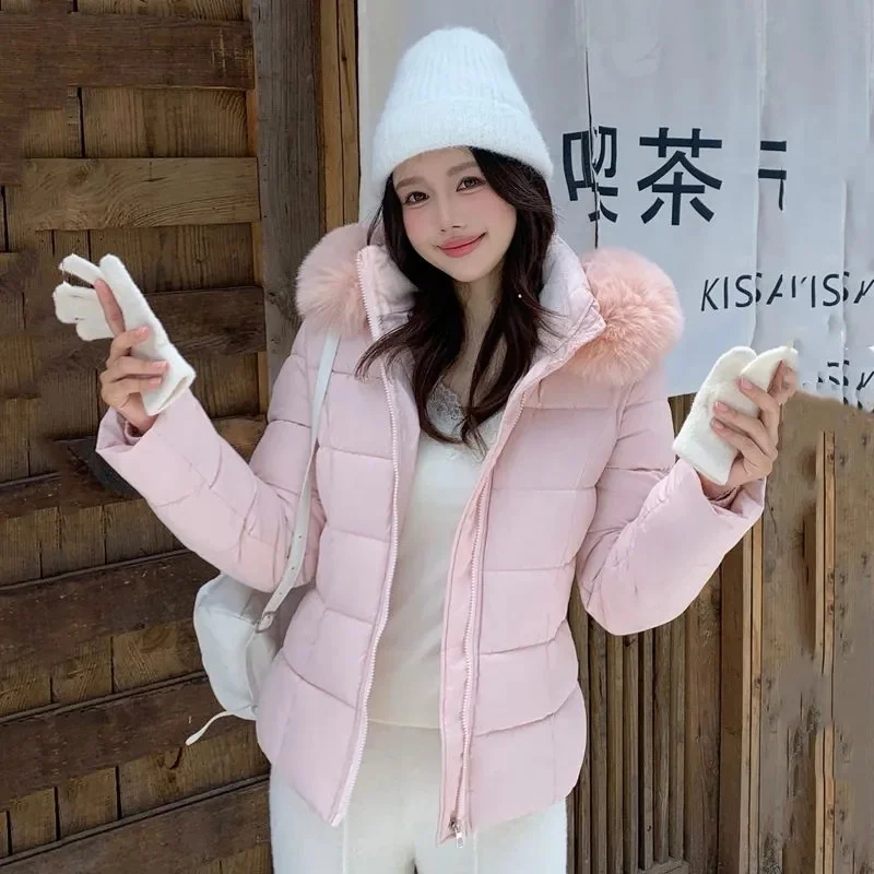 

Зимняя хлопковая женская короткая куртка в корейском стиле, утягивающая талию, теплая, с капюшоном и шерстяным воротником, модель JJ8