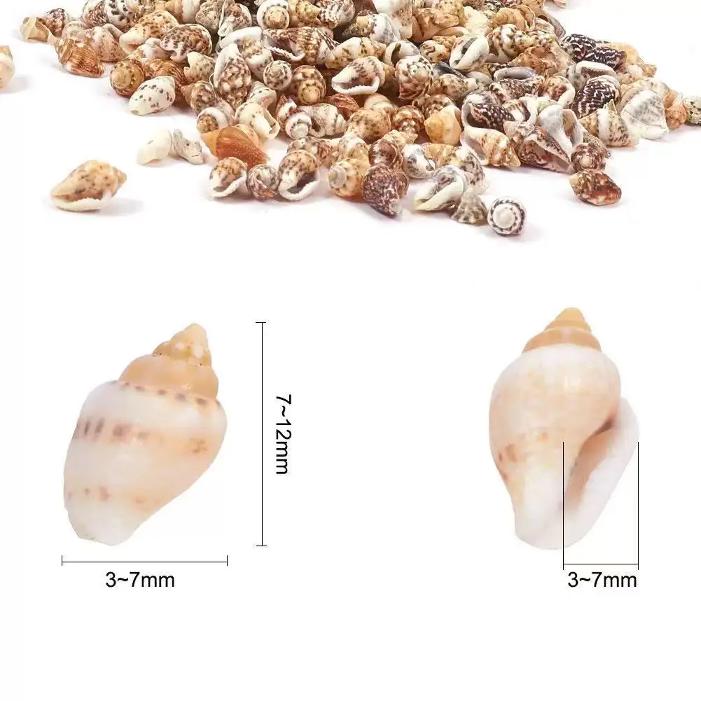 New 15g/Pack Non porous Natural Shell, Small Shell, Fish Tank Landscape, Drifting Bottle, Decorative DIY Shell Material