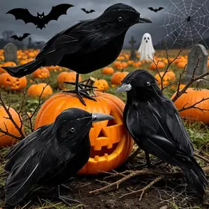 Crow-AliExpress
