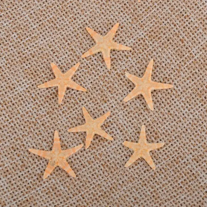 5/25/50 Uds Mini concha de estrella de mar decoración artesanal estrellas de mar DIY cabaña de playa decoración de boda conchas de mar fiesta concha