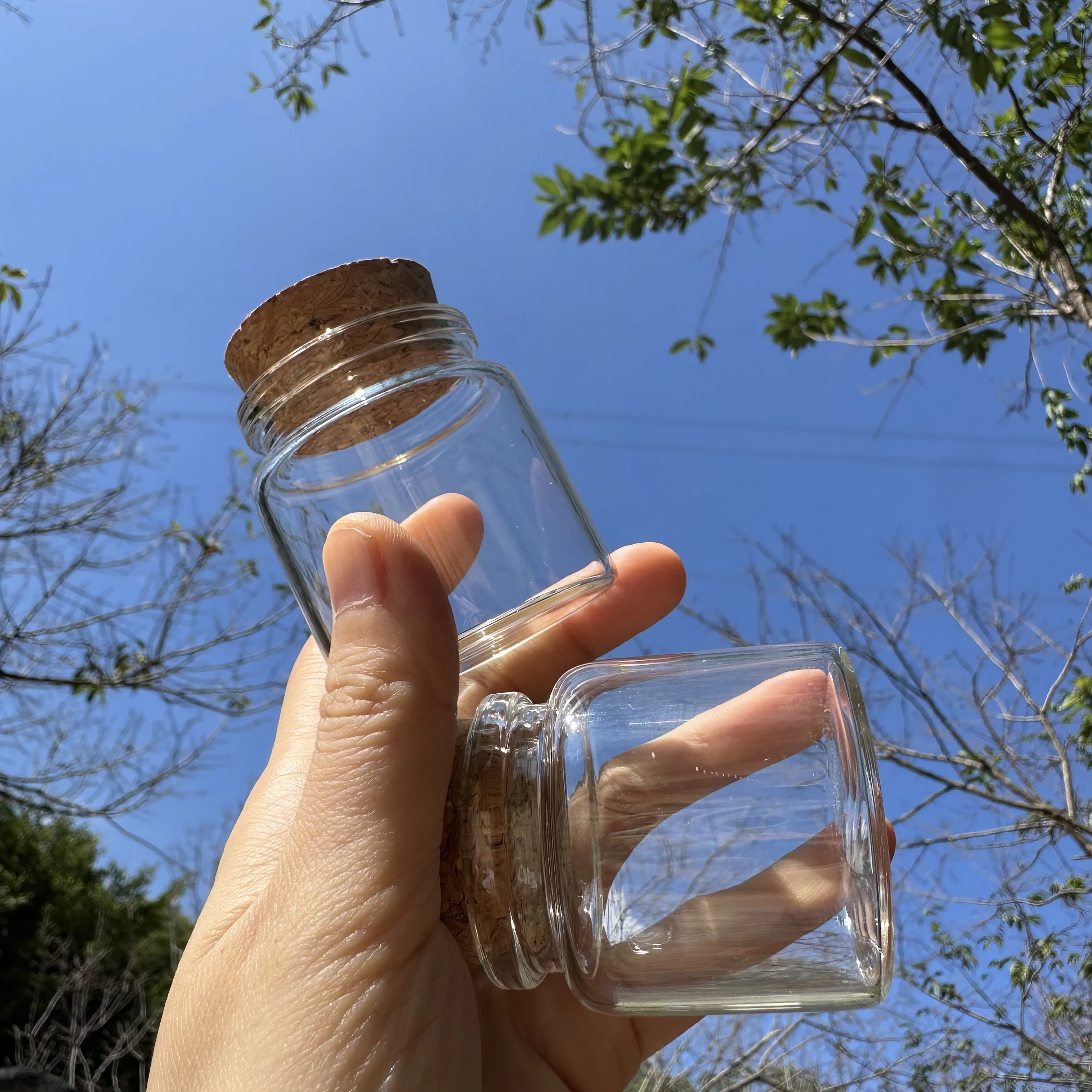 6/12/24 Pcs 50ml Borosilicate Glass Bottles Cork 47x50mm Small Jars Seed Storage DIY Crafts, Kitchen Spices Candy Containers