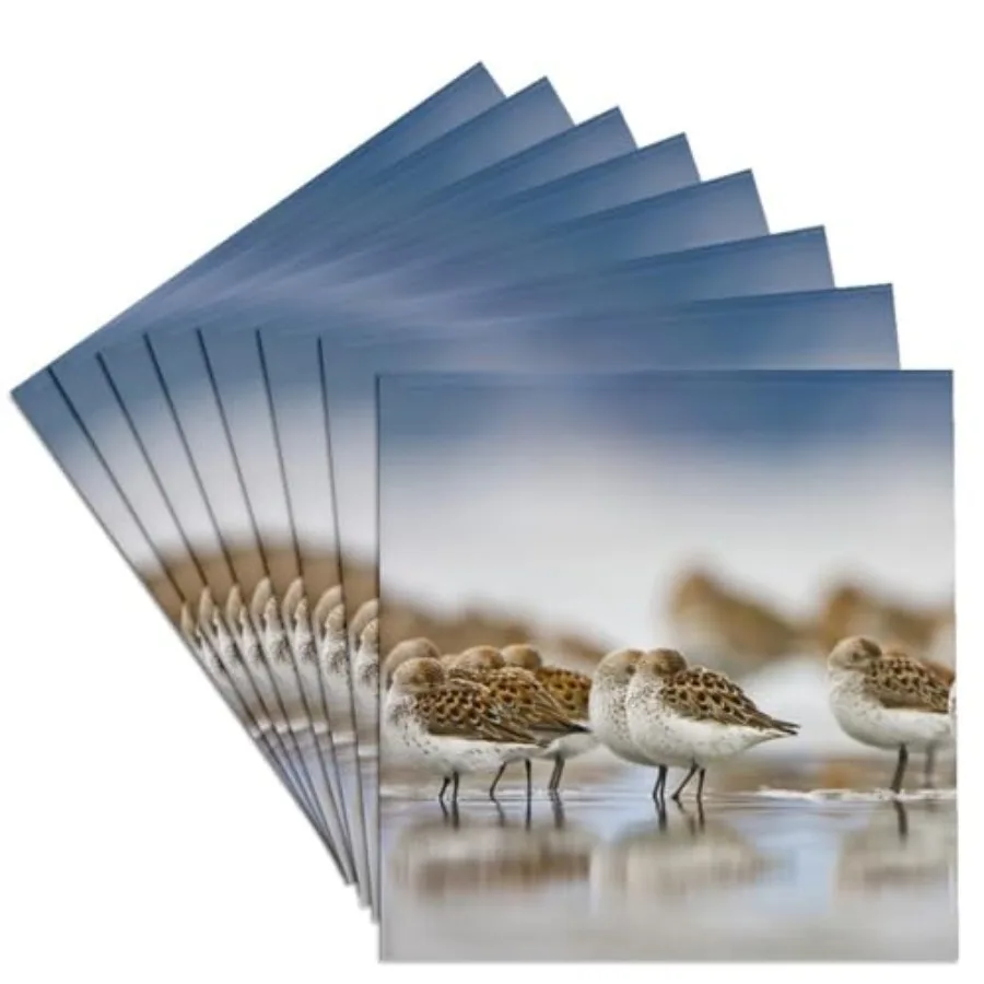 

CST_95654_4 WA Bottle Beach Grays Harbor Western Sandpiper Birds-US48 GLU0121-Gary Luhm-Ceramic Tile Coasters Set of 8