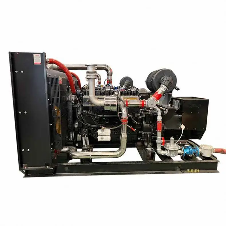 مجموعة مولد الغاز الحيوي للمزرعة ، مشروع 400kW ، 1mw-5 mw
