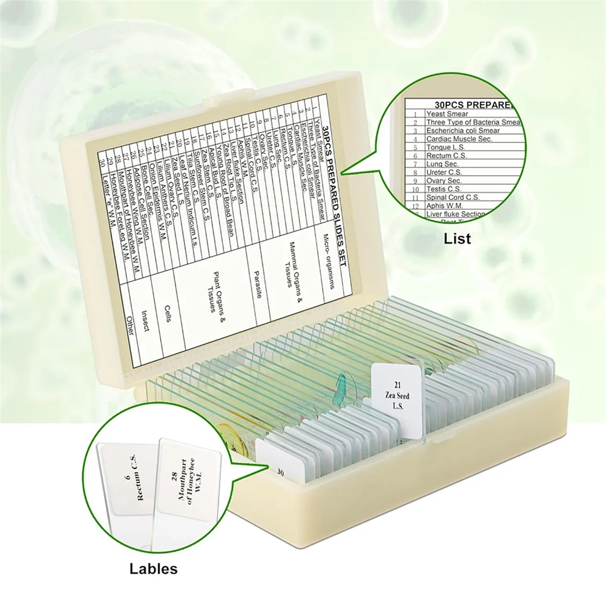 شرائح المجهر للأطفال، شرائح المجهر للأطفال، شرائح إعدادية زجاجية لملحقات المجهر مناسبة لجميع أنواع