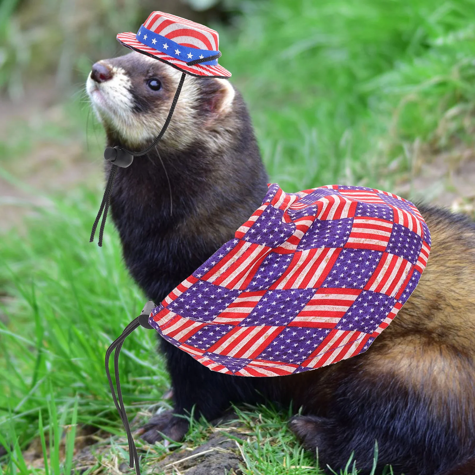 

1Set Stars Hat Cloak Set Exquisite Craftsmanship Lizard Hamster Accessory Comfortable Wearable Design Great Gift for Festivals