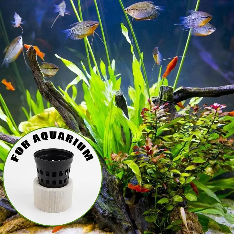 Aquatic Plants Fixed Ring Set Anti Floating Decorative Landscape Plant Anchor Weights Pot for Fish Tank Aquarium home Decoration