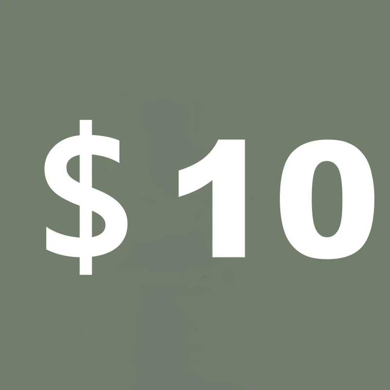 

$10 shipping fee/price difference payment link