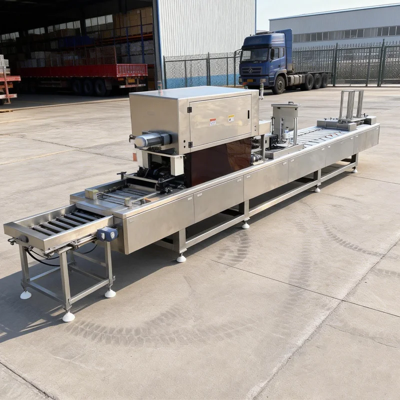 Preformed Tray Sealer Continuous Motion Gas Flush Vacuum Packaging Machine for Plastic Food Container Tray Custom