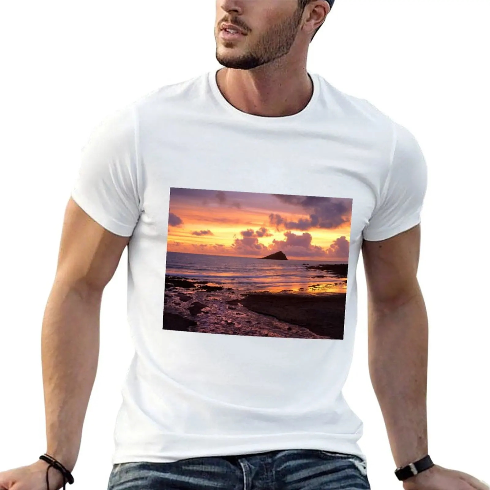Great Mew Stone Sunset T-Shirt Big Size Crew Neck T-Shirt