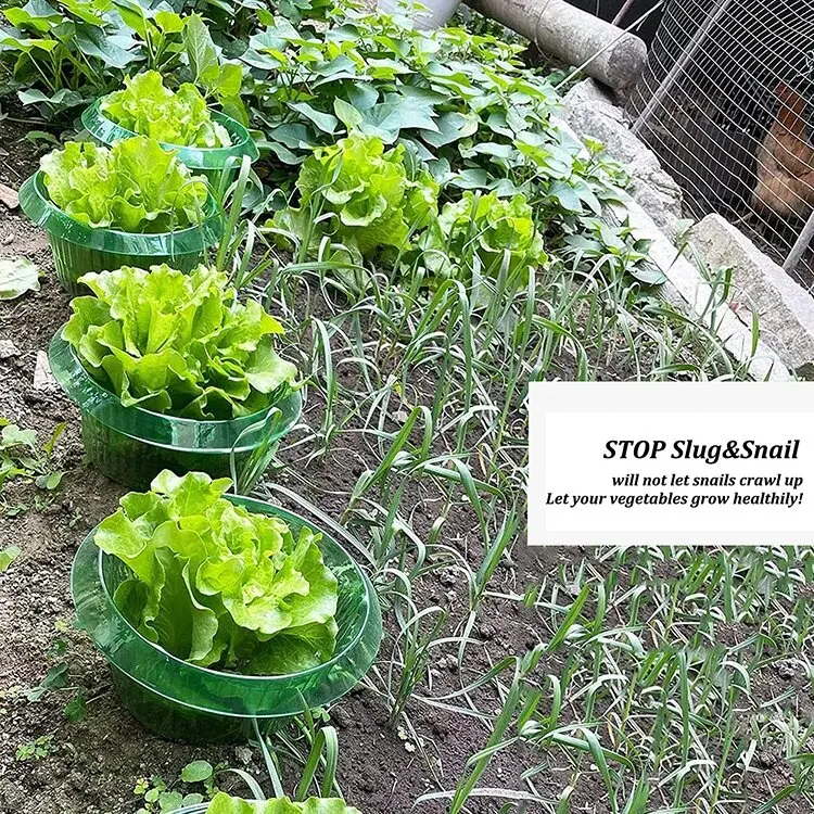 Wiederverwendbare Gemüseschutzhüllen Gartenpflanzen-Schnecken- und Nacktschneckenschutzkragen Landwirtschaftlicher Wasserschutz für Blumen – Detail 2