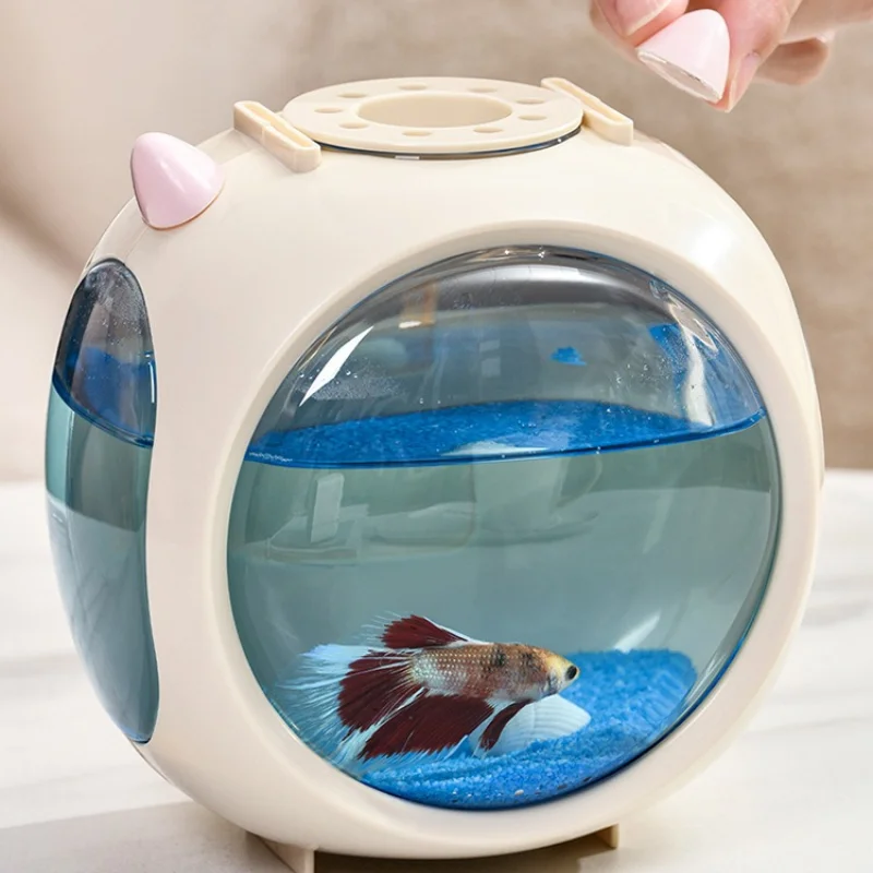 حوض سمك لطيف مع إضاءة، تصميم إ - مراجعة Betta Fish Tank وسعره