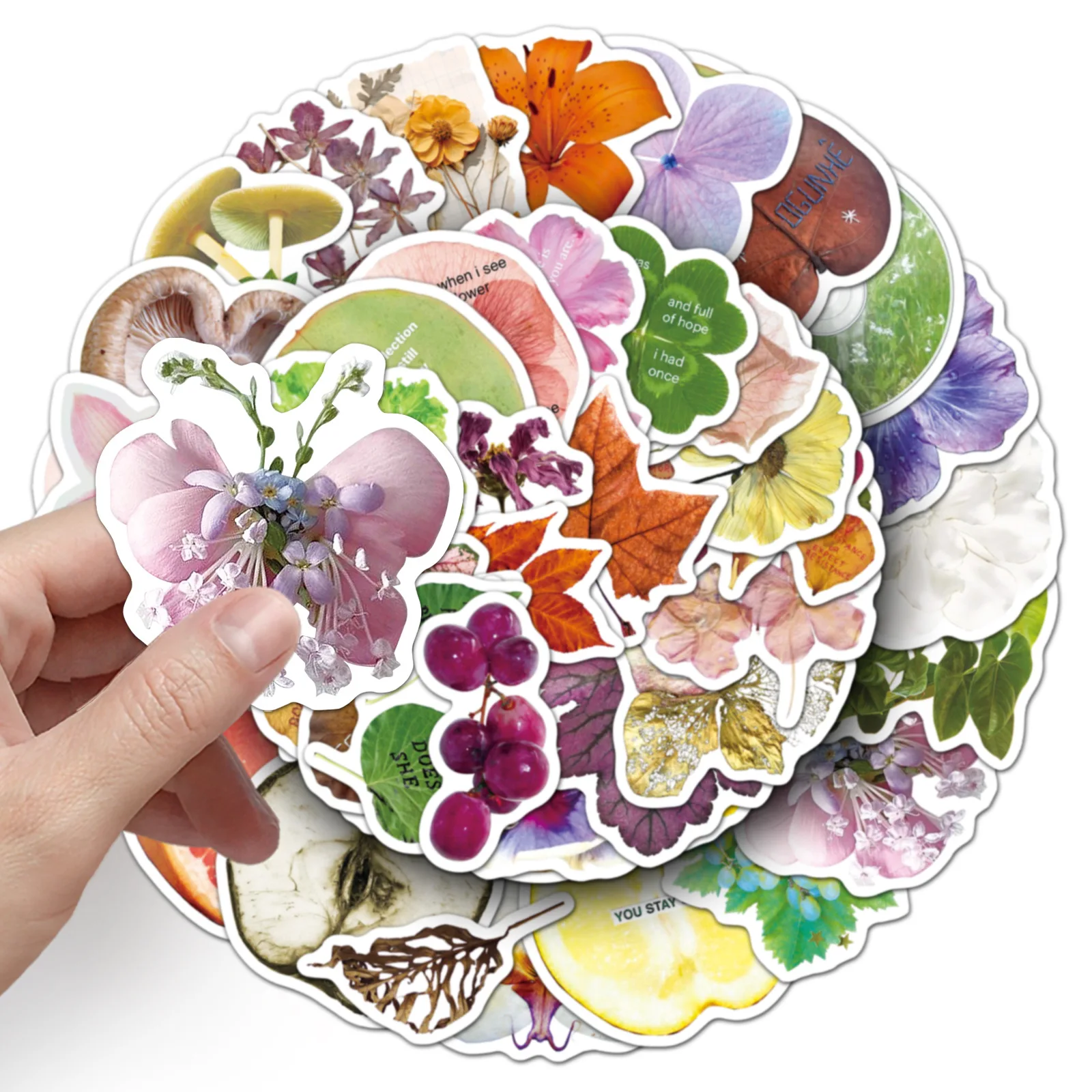 

50PCS Plant Specimens Graffiti Flowers and Leaves Decorative Guka Mobile Case Handbook Waterproof Stickers Kids Toy