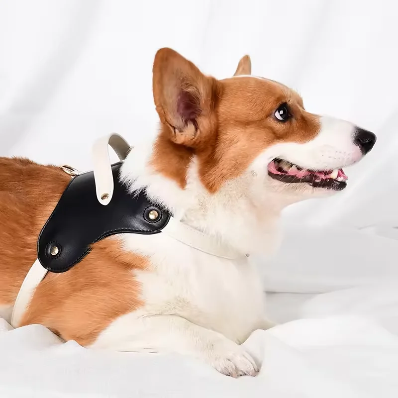 

Wholesale Customized Elegant Dog Harness Leash Set Factory Stocked Personalized Medium Large Pet Collar Recycle Nylon Printed