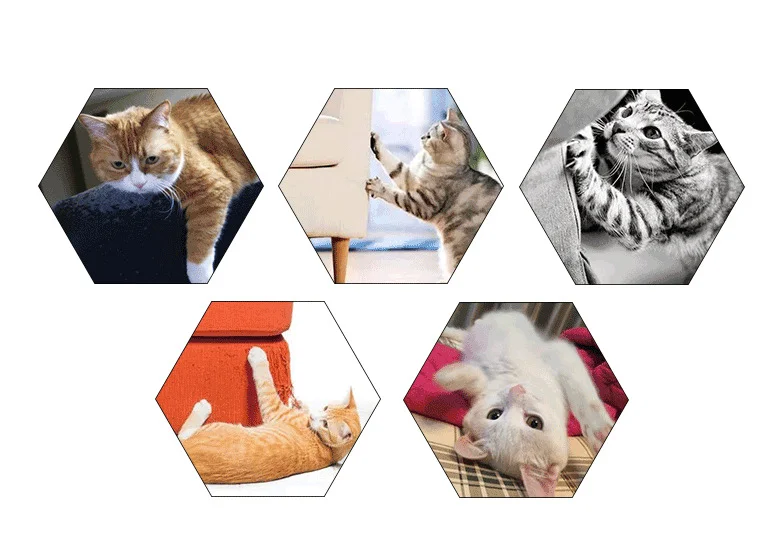 Katzen kratz kissen natürliche Sisal katze Kratz matte Möbels chutz Anti-Kratz-Sofa kissen für Innen katzen Schleif krallen – Detail 2
