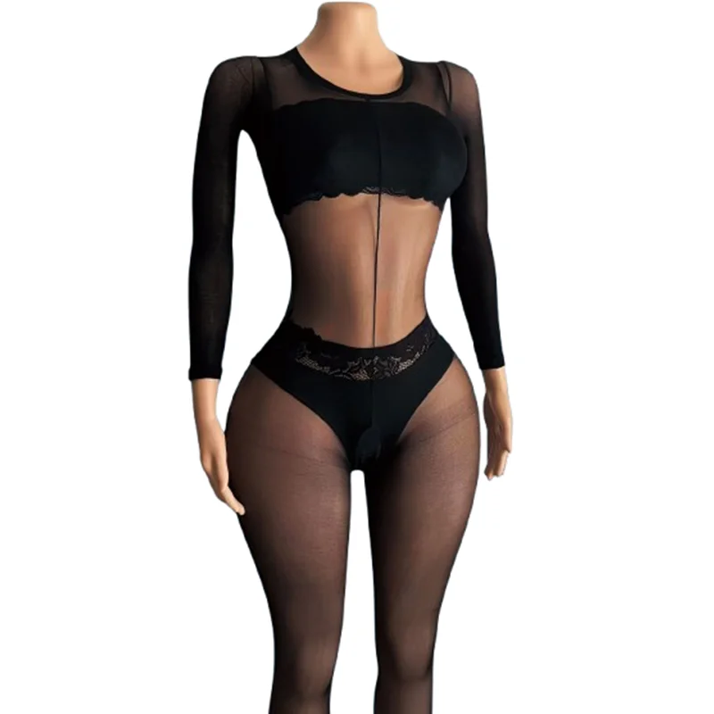 1-Piece Black Sheer Mesh Long-Sleeve Bodysuit; features a minimalist round neck and an integrated open-crotch design.