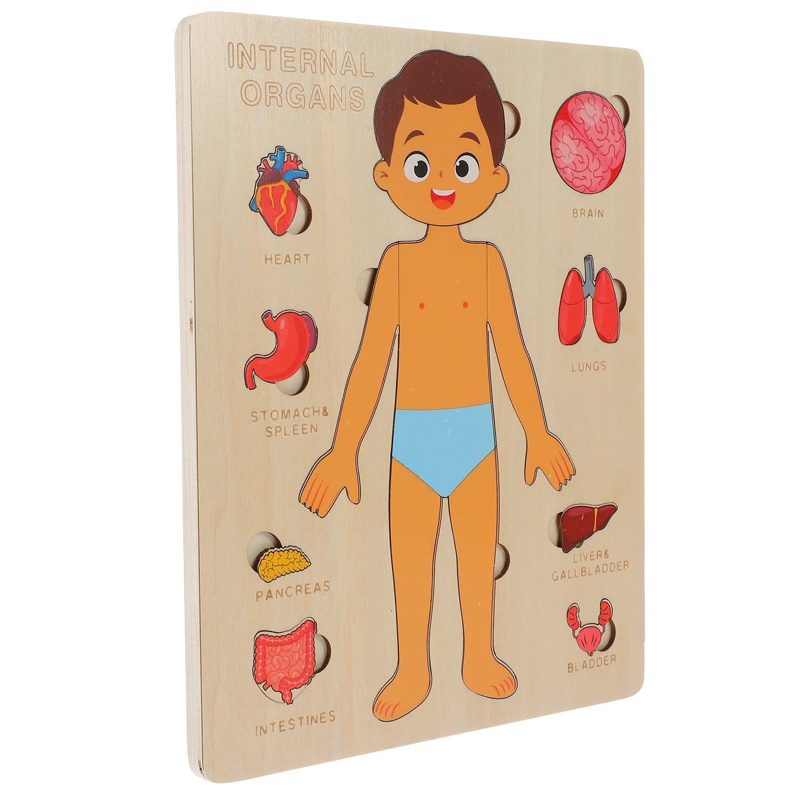 Human Body Structure Puzzle Toys Parts Model Anatomy Cognitive Tool Wood Children Organs