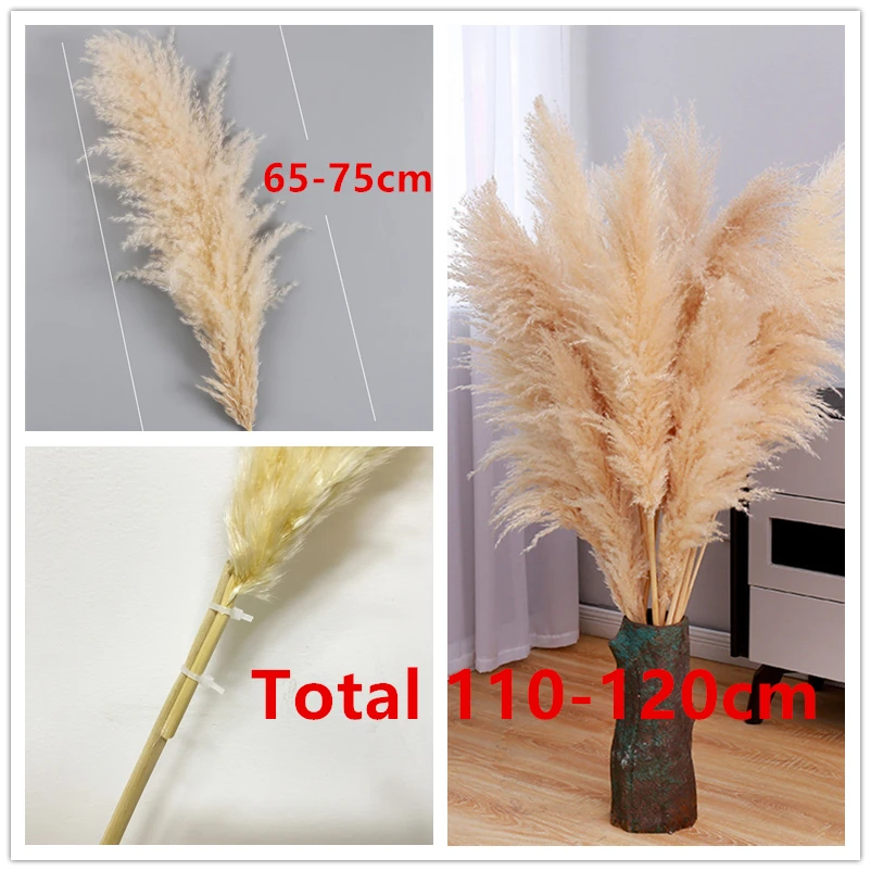 10pcs Herbe de la Pampa 80-120cm Naturelle Fleurs Sechee Beige Boho Bouquet Pour Mariage Wedding Supplies Decor